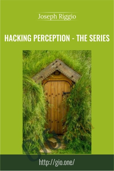 Hacking Perception – The Series - Joseph Riggio