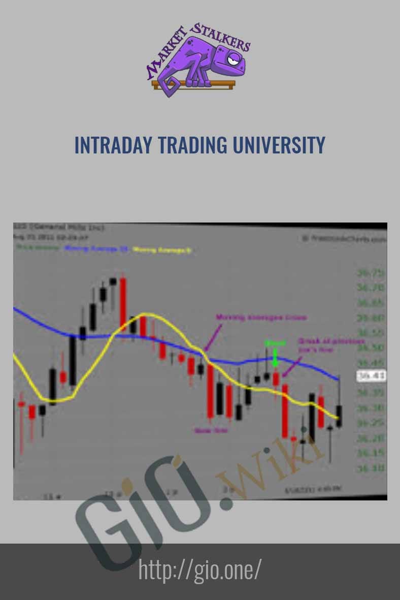 Intraday Trading University - Market Stalkers
