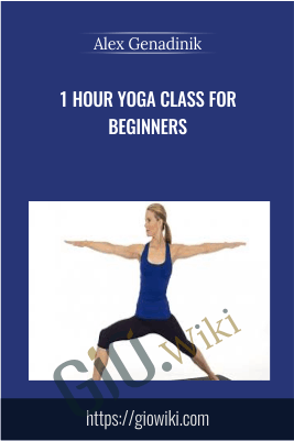 1 hour Yoga class for beginners - Alex Genadinik