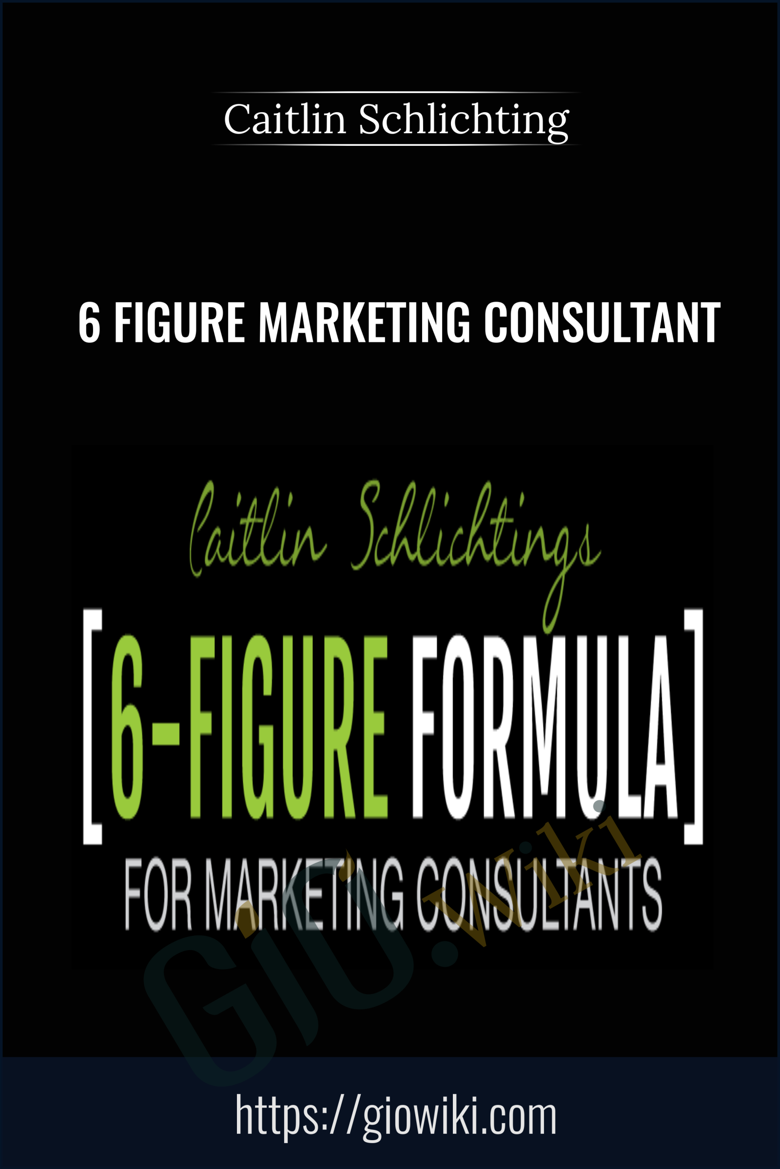 6 Figure Marketing Consultant - Caitlin Schlichting