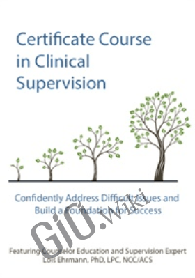 Certificate Course in Clinical Supervision - Confidently Address Difficult Issues and Build a Foundation for Success - Lois Ehrmann
