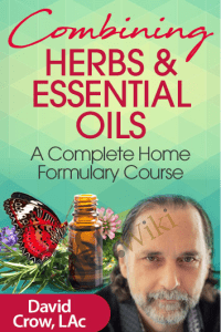 Combining Herbs & Essential Oils - David Crow