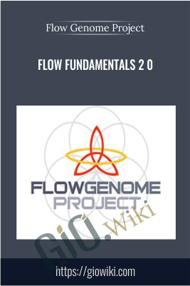 Flow Fundamentals 2 0 - Flow Genome Project