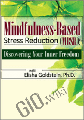 Mindfulness-Based Stress Reduction (MBSR): Discovering Your Inner Freedom with Elisha Goldstein, Ph.D. -  Elisha Goldstein