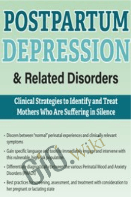 Postpartum Depression & Related Disorders: Clinical Strategies to Identify and Treat Mothers Who Are Suffering in Silence - Hilary Waller