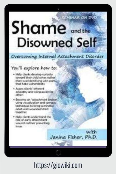 Shame and the Disowned Self - Overcoming Internal Attachment Disorder - Janina Fisher