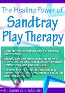 The Healing Power of Sandtray Play Therapy - Tammi Van Hollander