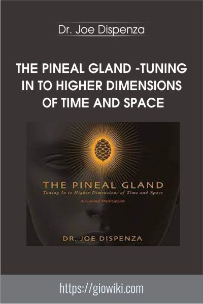 The Pineal Gland - Tuning In To Higher Dimensions of Time and Space - Dr. Joe Dispenza