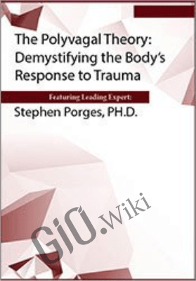 The Polyvagal Theory: Demystifying the Body's Response to Trauma - Stephen Porges