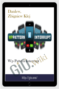 WP Pattern Interrupt - danlew, Zbigniew Klej