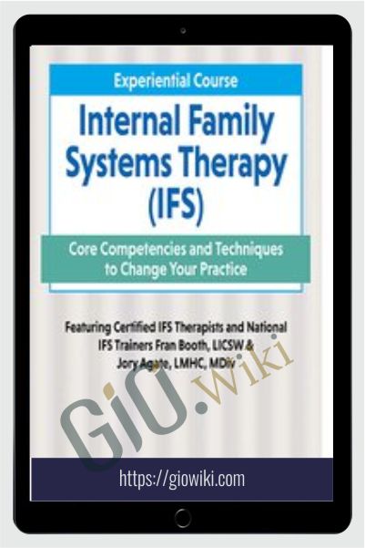 2-Day Experiential Course Internal Family Systeams Therapy (IFS): Core Competencies and Techniques to Change Your Practice - Fran D. Booth & Jory Agate Agate