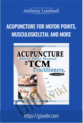 Acupuncture for Motor Points, Musculoskeletal and more - Anthony Lombadi