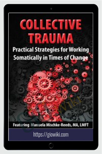 Collective Trauma: Practical Strategies for Working Somatically in Times of Change - Manuela Mischke-Reeds