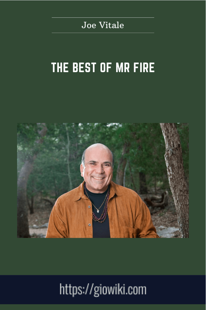 The Best of Mr Fire - Joe Vitale