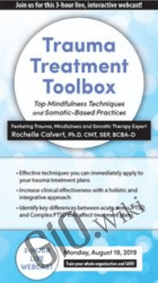 Trauma Treatment Toolbox: Top Mindfulness Techniques and Somatic-Based Practices *Pre-Order* - Rochelle Calvert