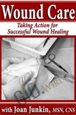 Wound Care: Taking Action for Successful Wound Healing - Joan Junkin