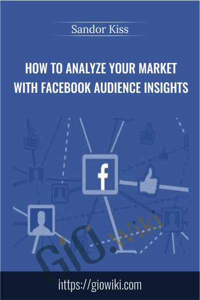 How To Analyze Your Market With Facebook Audience Insights - Sandor Kiss