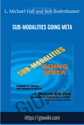Sub-Modalities Going Meta - L. Michael Hall and Bob Bodenhamer