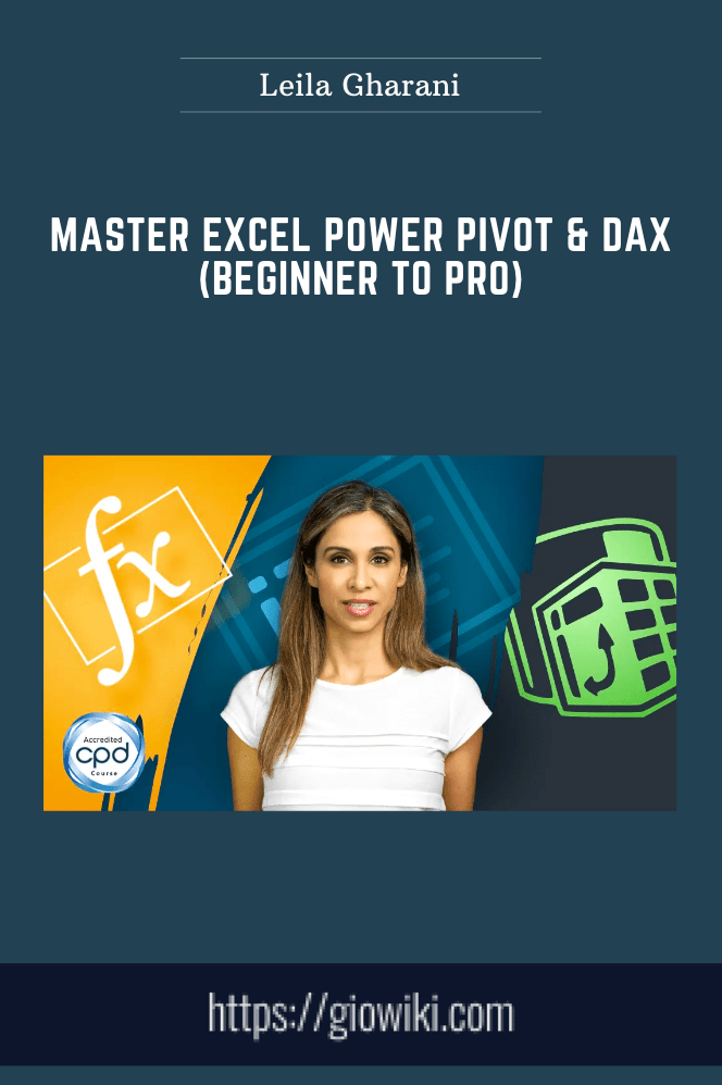 Master Excel Power Pivot & DAX (Beginner to Pro) - Leila Gharani