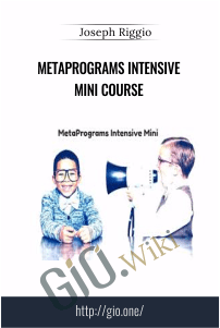MetaPrograms Intensive Mini Course – Joseph Riggio