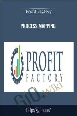 Process Mapping – Profit Factory