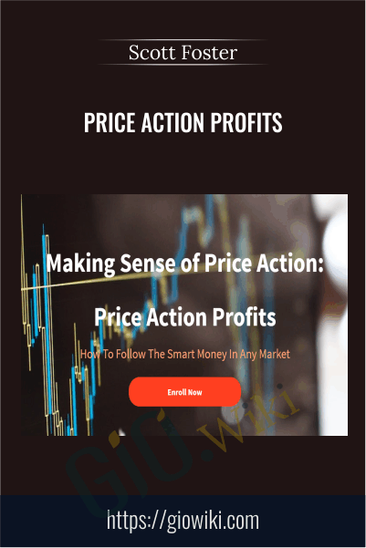 Making Sense of Price Action: Price Action Profits - Scott Foster