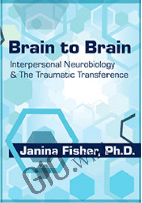Brain to Brain: Interpersonal Neurobiology & The Traumatic Transference - Janina Fisher