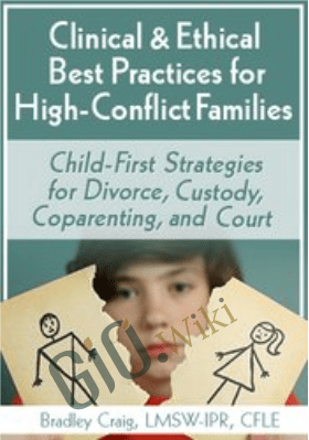 Clinical & Ethical Best Practices for High-Conflict Families: Child-First Strategies for Divorce, Custody, Coparenting, and Court