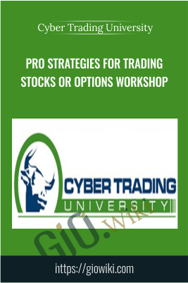 Pro Strategies for Trading Stocks or Options Workshop