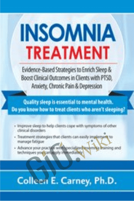 Insomnia Treatment: Evidence-Based Strategies to Enrich Sleep & Boost Clinical Outcomes in Clients with PTSD, Anxiety, Chronic Pain & Depression - Colleen E. Carney