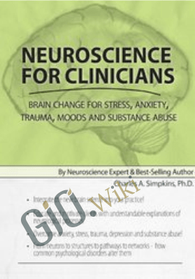 Neuroscience for Clinicians: Brain Change for Stress, Anxiety, Trauma, Moods and Substance Abuse - Charles A Simpkins, PH.D.