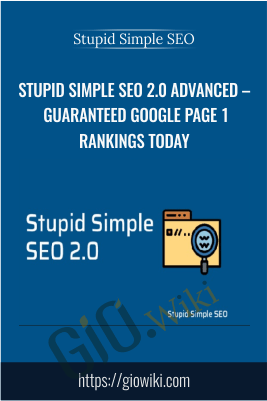 Stupid Simple SEO 2.0 Advanced – Guaranteed Google Page 1 Rankings Today
