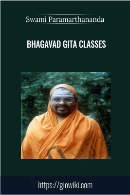 Bhagavad Gita Classes – Swami Paramarthananda