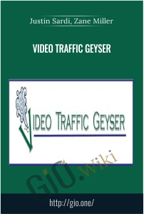 Video Traffic Geyser – Justin Sardi, Zane Miller