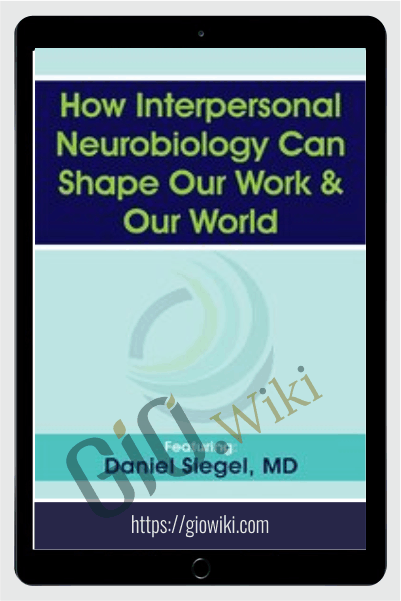 How Interpersonal Neurobiology Can Help Shape our Work and our World - Daniel J. Siegel