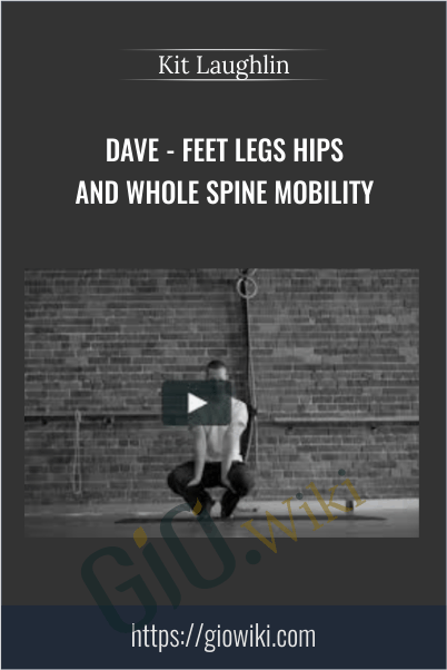 Dave - Feet Legs Hips and Whole Spine Mobility - Kit Laughlin