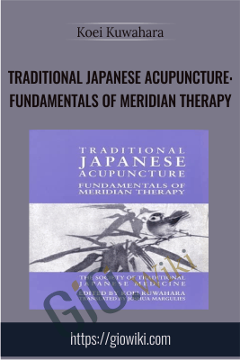 Traditional Japanese Acupuncture: Fundamentals of Meridian Therapy - Koei Kuwahara