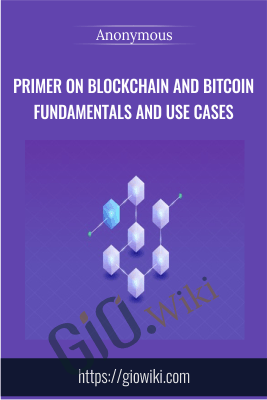 Primer on Blockchain and Bitcoin Fundamentals and Use Cases - Anonymous