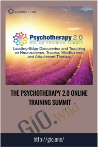 The Psychotherapy 2.0 Online Training Summit