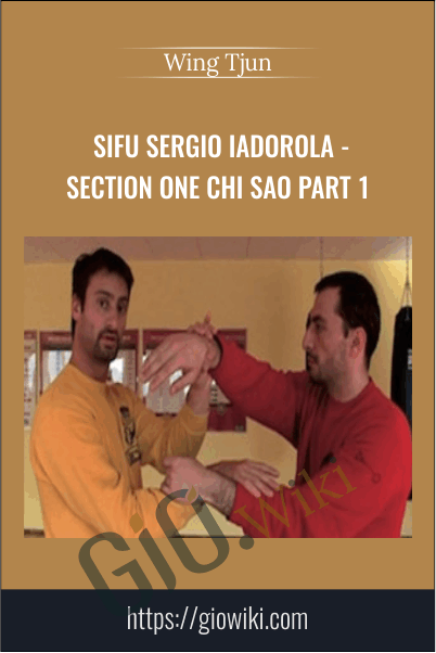 Sifu Sergio Iadorola - Section One Chi Sao Part 1 - Wing Tjun