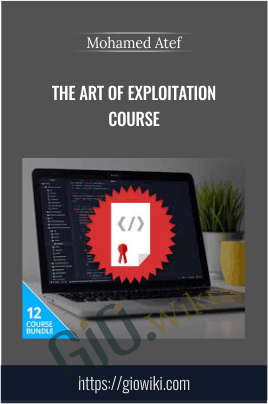 The Art of Exploitation Course - Mohamed Atef