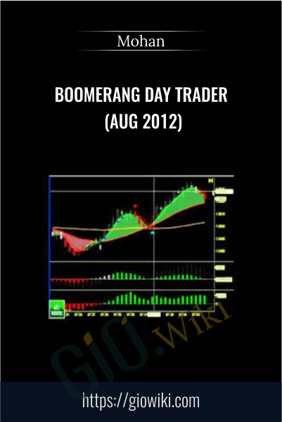 Boomerang Day Trader (Aug 2012) – Mohan
