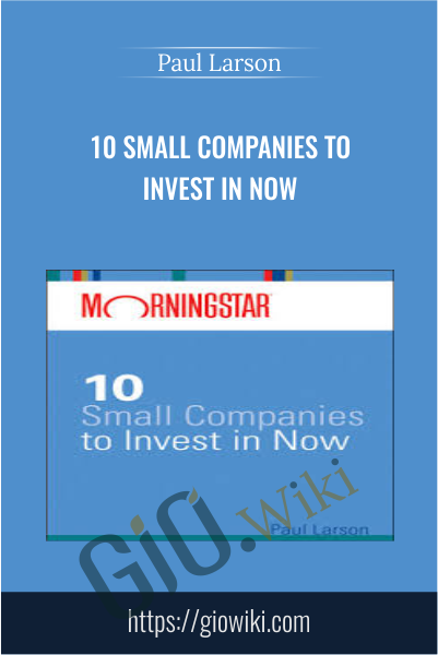 10 Small Companies to Invest in Now - Paul Larson