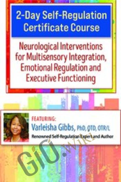 2-Day Self-Regulation Certificate Course: Neurological Interventions for Multisensory Integration, Emotional Regulation and Executive Functioning - Varleisha D. Gibbs