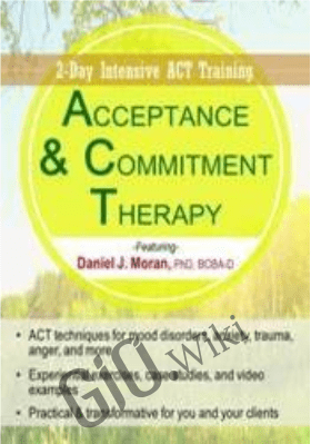 Acceptance & Commitment Therapy: 2-Day Intensive ACT Training - Daniel J Moran