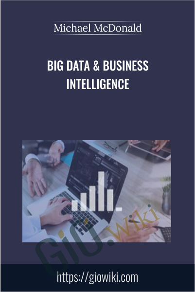 Big Data & Business Intelligence - Michael McDonald
