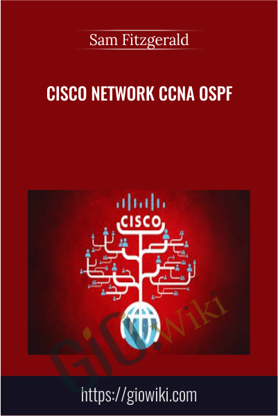 Cisco Network CCNP BGP - Sam Fitzgerald