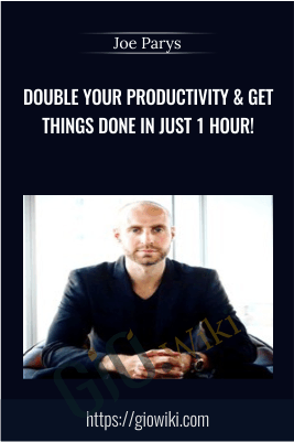 Double Your Productivity & Get Things Done in Just 1 hour! - Joe Parys