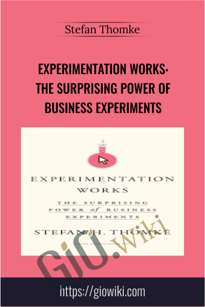 Experimentation Works: The Surprising Power of Business Experiments - Stefan Thomke