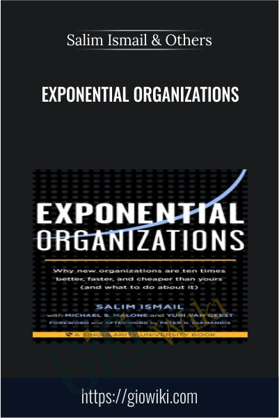 Exponential Organizations - Salim Ismail & Others